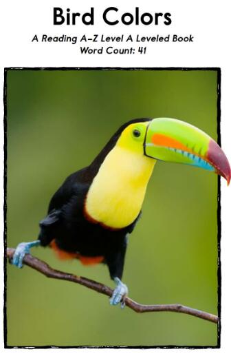 《Bird Colors》英語繪本翻譯及pdf資源下載