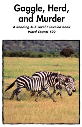 《Gaggle,Herd,and Murder》繪本翻譯及pdf資源下載