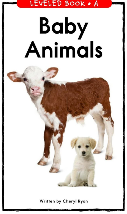 Baby Animals繪本原文PDF+音頻免費下載