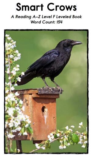 《Smart Crows》繪本翻譯及pdf電子書資源下載