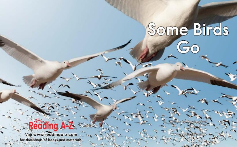 《Some Birds Go》RAZ繪本翻譯及pdf資源下載