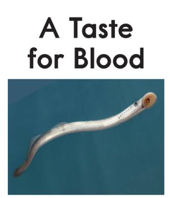 《A Taste for Blood》raz繪本翻譯及pdf資源下載