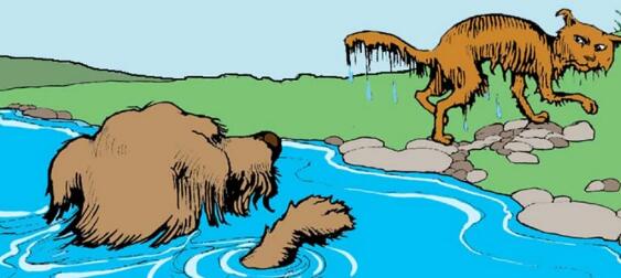 《The Chase》繪本中文翻譯及pdf資源下載