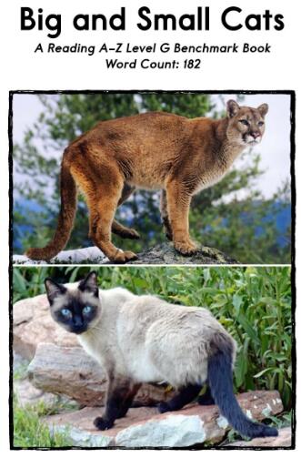 《Big and Small Cats》繪本pdf資源百度網盤免費下載