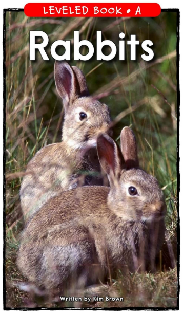 Rabbits繪本PDF+MP3百度網盤下載