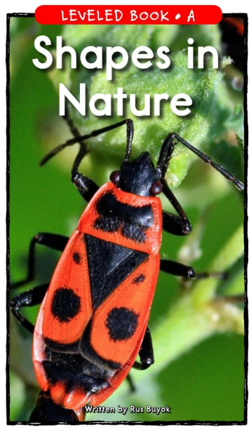 Shapes in Nature繪本PDF+MP3百度網盤下載