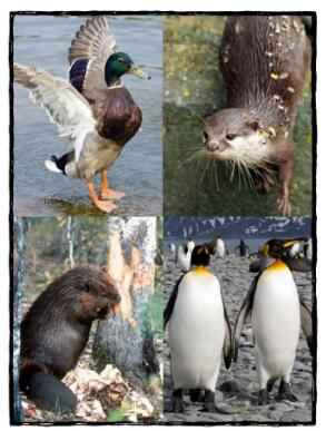 《What in the World Is That》繪本翻譯及pdf資源下載