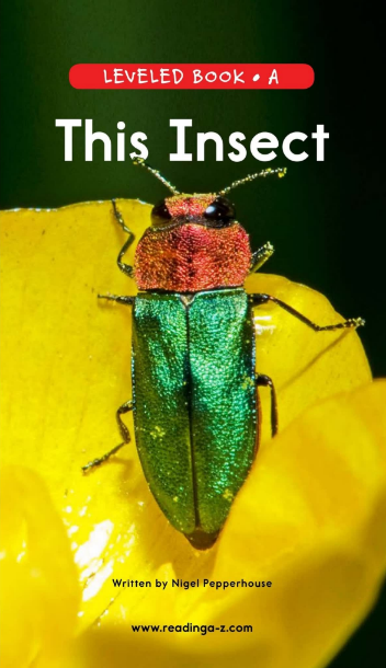This Insect英文繪本PDF+音頻百度網盤下載