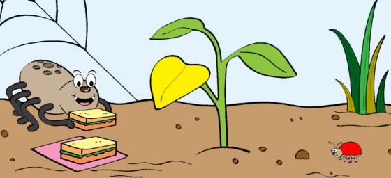 《A Seed Grows》繪本翻譯及pdf資源下載