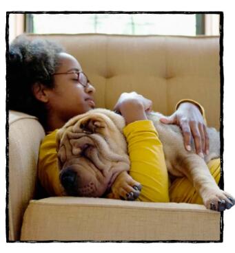 《Caring for Your Dog》繪本翻譯及pdf資源下載