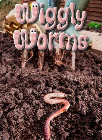 《Wiggly Worms》raz英語繪本翻譯及pdf資源下載