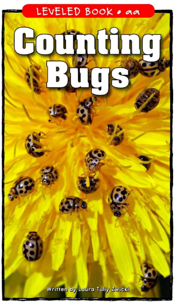 Counting Bugs繪本電子書+音頻資源免費下載