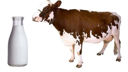 《The food we eat》raz繪本翻譯及pdf資源百度網盤下載