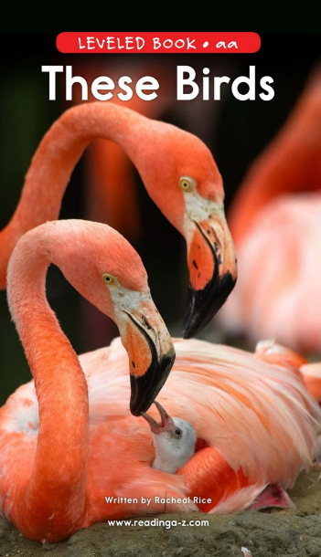 These Birds繪本PDF+MP3百度網盤免費下載