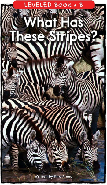 What Has These Stripes繪本PDF+音頻資源免費下載