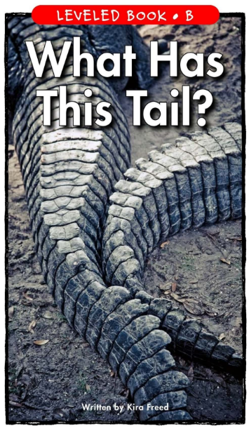 What Has This Tail繪本PDF+音頻資源免費下載