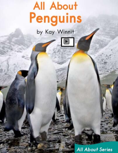 《All About Penguins》繪本翻譯及pdf資源下載