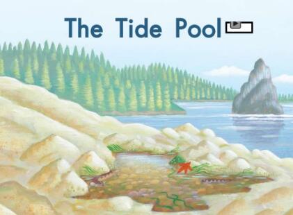 《The Tide Pool》英語繪本翻譯及pdf資源下載