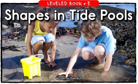 Shapes in Tide Pools繪本電子版+MP3百度網盤免費下載