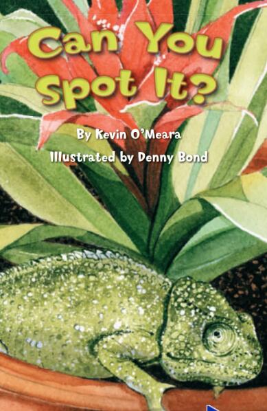 《Can You Spot It》英文繪本pdf資源下載