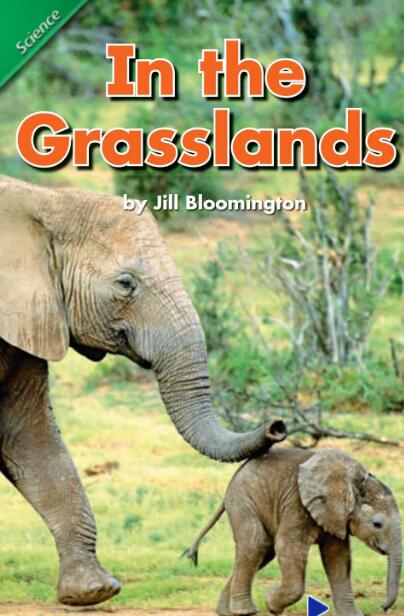 《In the Grasslands》英文繪本pdf資源下載