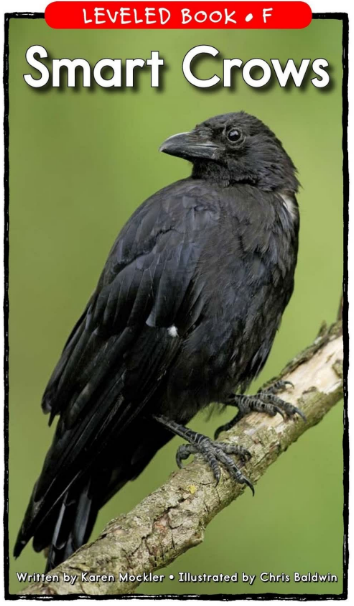 Smart Crows繪本PDF+音頻百度云免費下載