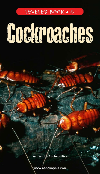 Cockroaches繪本電子檔+音頻百度云免費下載
