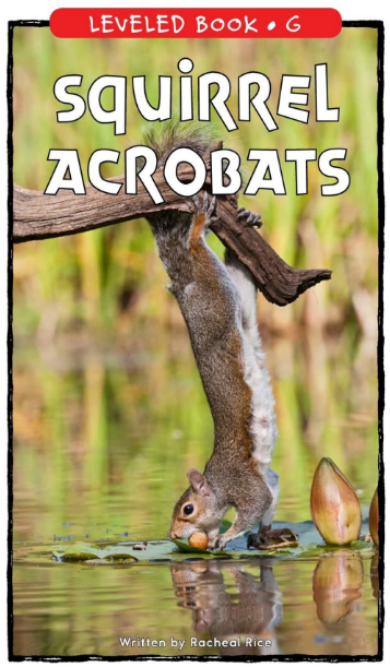 Squirrel Acrobats英語繪本PDF+音頻資源免費下載