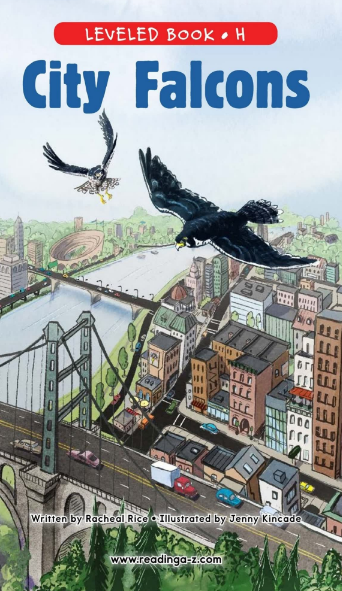 City Falcons繪本電子檔+音頻百度網盤免費下載