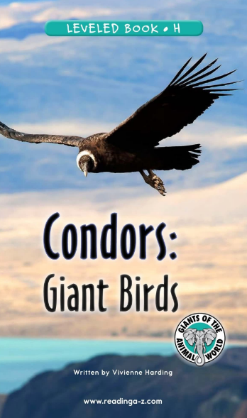 Condors Giant Birds繪本電子檔+音頻百度網盤免費下載