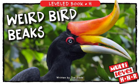 Weird Bird Beaks繪本PDF+MP3資源免費下載