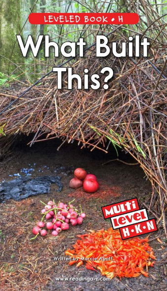 What Built This繪本PDF+MP3資源免費下載