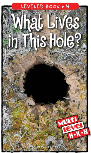What Lives in This Hole繪本PDF+MP3資源免費下載