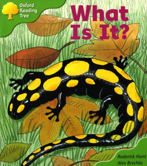 《What is it》牛津樹繪本翻譯及pdf資源下載