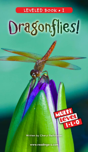 Dragonflies!繪本PDF+音頻資源免費下載