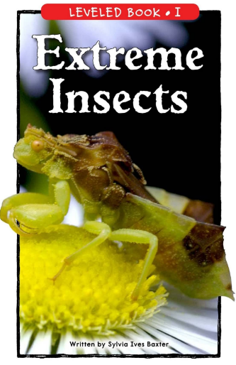 Extreme Insects繪本PDF+音頻資源免費下載