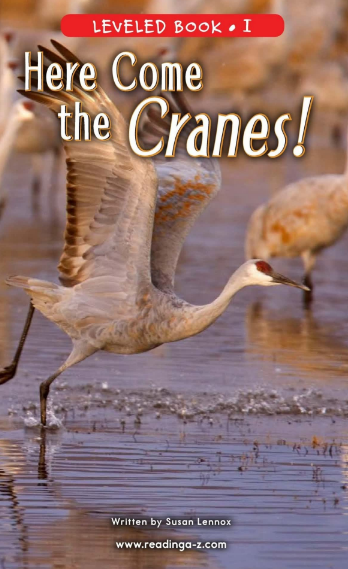 Here Come the Cranes!繪本PDF+音頻資源免費下載