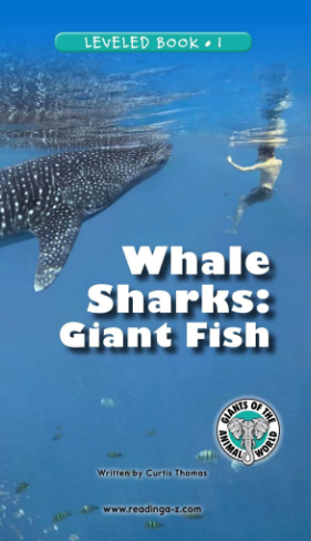 Whale Sharks Giant Fish繪本電子版+MP3百度云免費下載