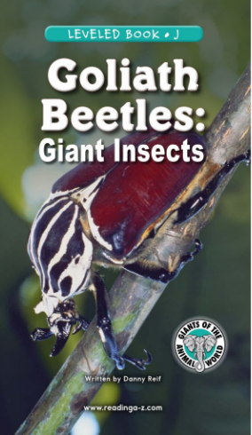 Goliath Beetles Giant Insects繪本電子版+音頻百度網盤免費下載