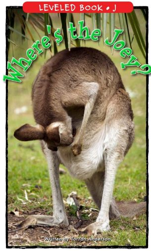 Where's the Joey繪本PDF+音頻百度網盤免費下載