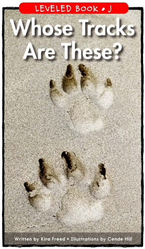 Whose Tracks Are These繪本PDF+音頻百度網盤免費下載