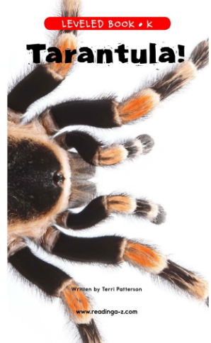 Tarantula!英語繪本電子版+音頻百度網盤免費下載