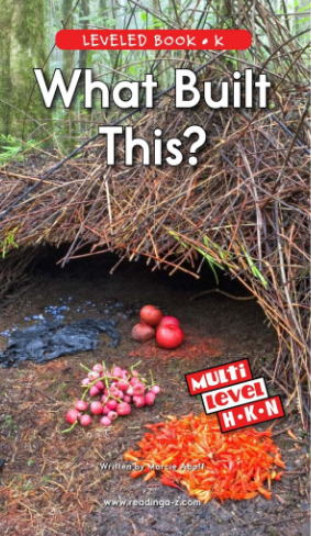 What Built This英語繪本電子版+音頻百度網盤免費下載