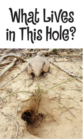 What Lives in This Hole英語繪本電子版+音頻百度網盤免費下載