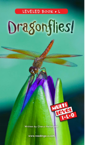 Dragonflies繪本電子版+MP3百度網盤免費下載