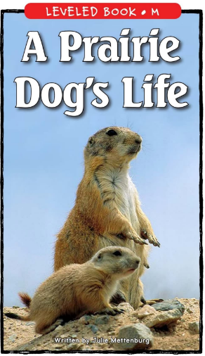 A Prairie Dog's Life繪本PDF+MP3百度云免費下載
