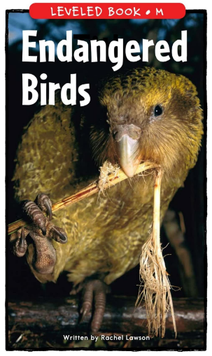 Endangered Birds繪本PDF+MP3百度云免費下載