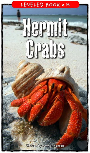 Hermit Crabs繪本PDF+MP3百度云免費下載