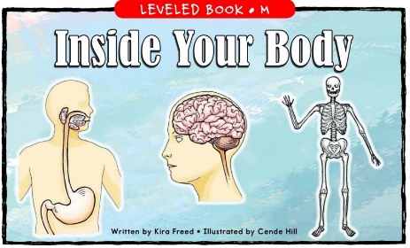 Inside Your Body繪本PDF+音頻資源免費下載