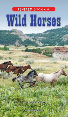 Wild Horses繪本PDF+音頻百度網盤免費下載